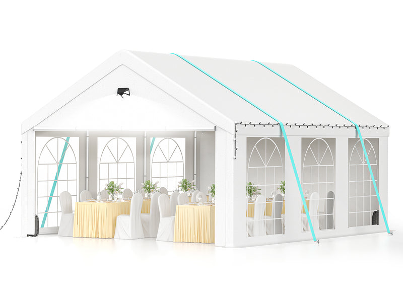 Sannwsg 10x20FT Party Tent