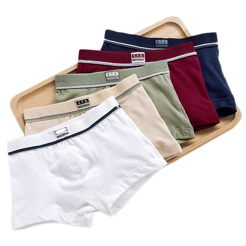 Boys Cotton Boxer Shorts  Kids Underwear For 2-16 years 5 pcs