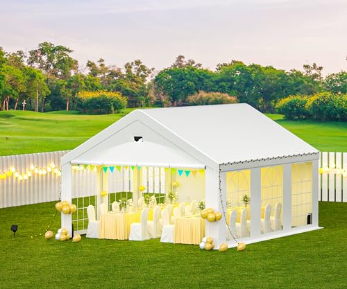 Sannwsg 10x20FT Party Tent